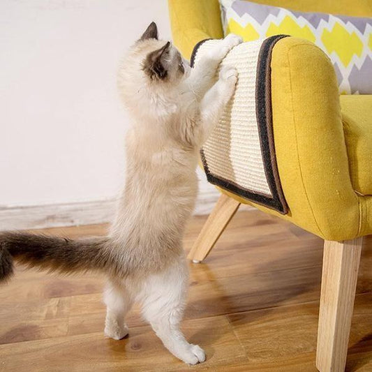 Capa Protetora & Arranhador para Gatos - Lemar Magazine