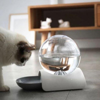 Bebedouro Bubble - Lemar Magazine