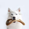 Brinquedo Benebone - WishBone & Dental Chew BACON - Lemar Magazine