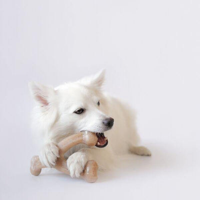 Brinquedo Benebone - WishBone & Dental Chew BACON - Lemar Magazine