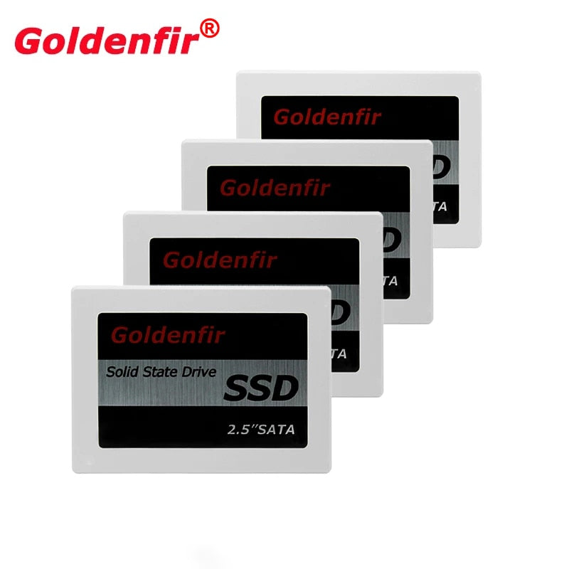 HD Interno SDD Goldenfir