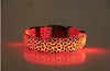 Coleira Leopardo LED - Lemar Magazine