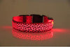 Coleira Leopardo LED - Lemar Magazine