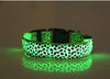 Coleira Leopardo LED - Lemar Magazine