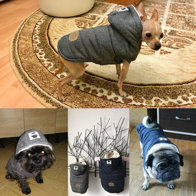 Colete de Inverno para Cachorros | Gentleman - Lemar Magazine