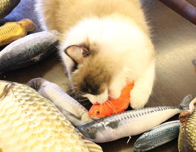 Peixe com Catnip para Gatos - Lemar Magazine