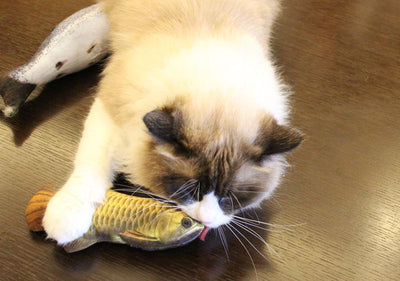 Peixe com Catnip para Gatos - Lemar Magazine