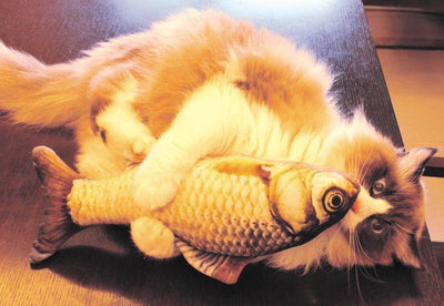 Peixe com Catnip para Gatos - Lemar Magazine