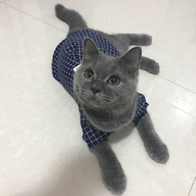 Camisa Super Elegante para Pets - Lemar Magazine