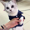 Camisa Super Elegante para Pets - Lemar Magazine