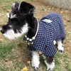 Camisa Super Elegante para Pets - Lemar Magazine